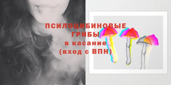 сатива Дмитров